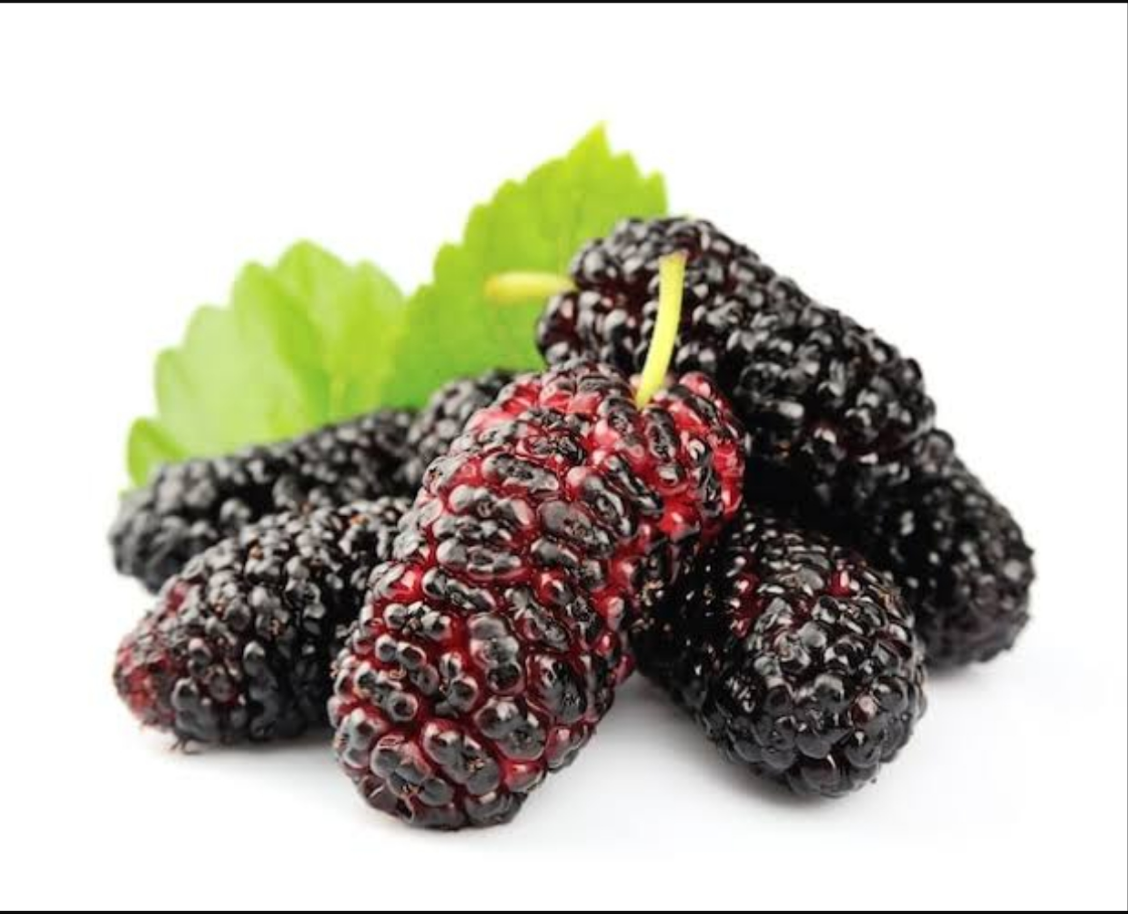 Mulberry - 100 % Natural & Farm Fresh