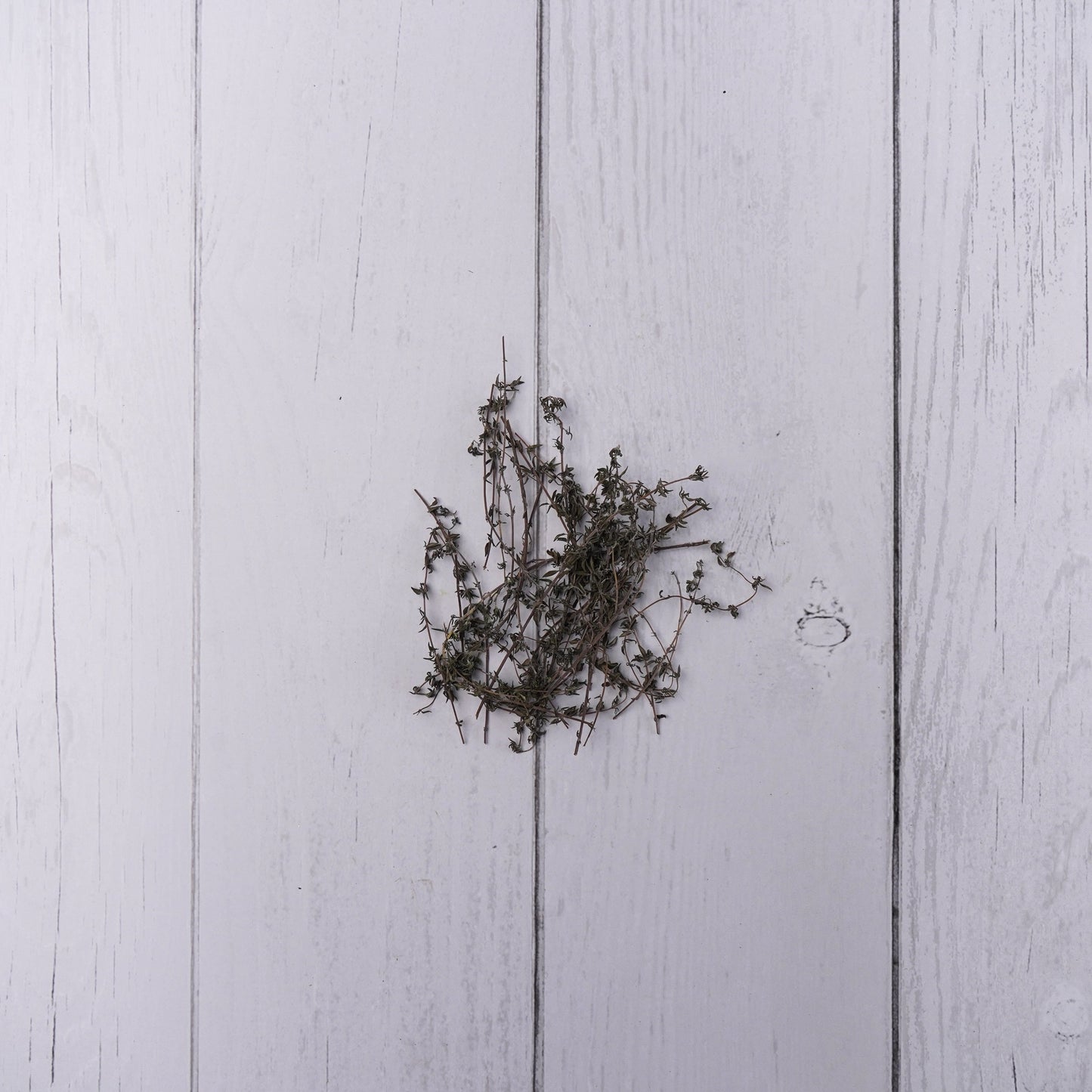 Thyme -25 Gms - Exotic Vegetables