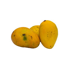 Badami Mango – Naturally Ripened Banganapalli Mango