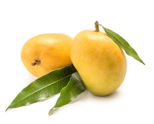 Alphonso Mango / Hapus Aam - Fruits & Vegetables