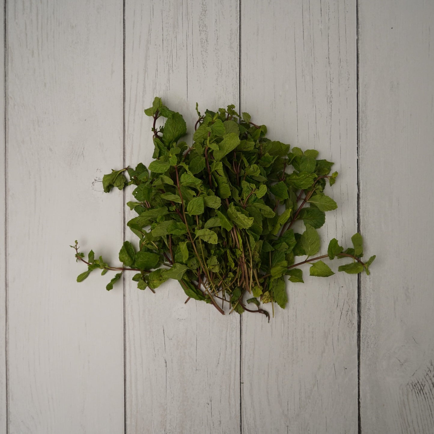 Mint Leaves / Pudina Patta -- 100 % Natural & Farm Fresh Leafy Vegetables