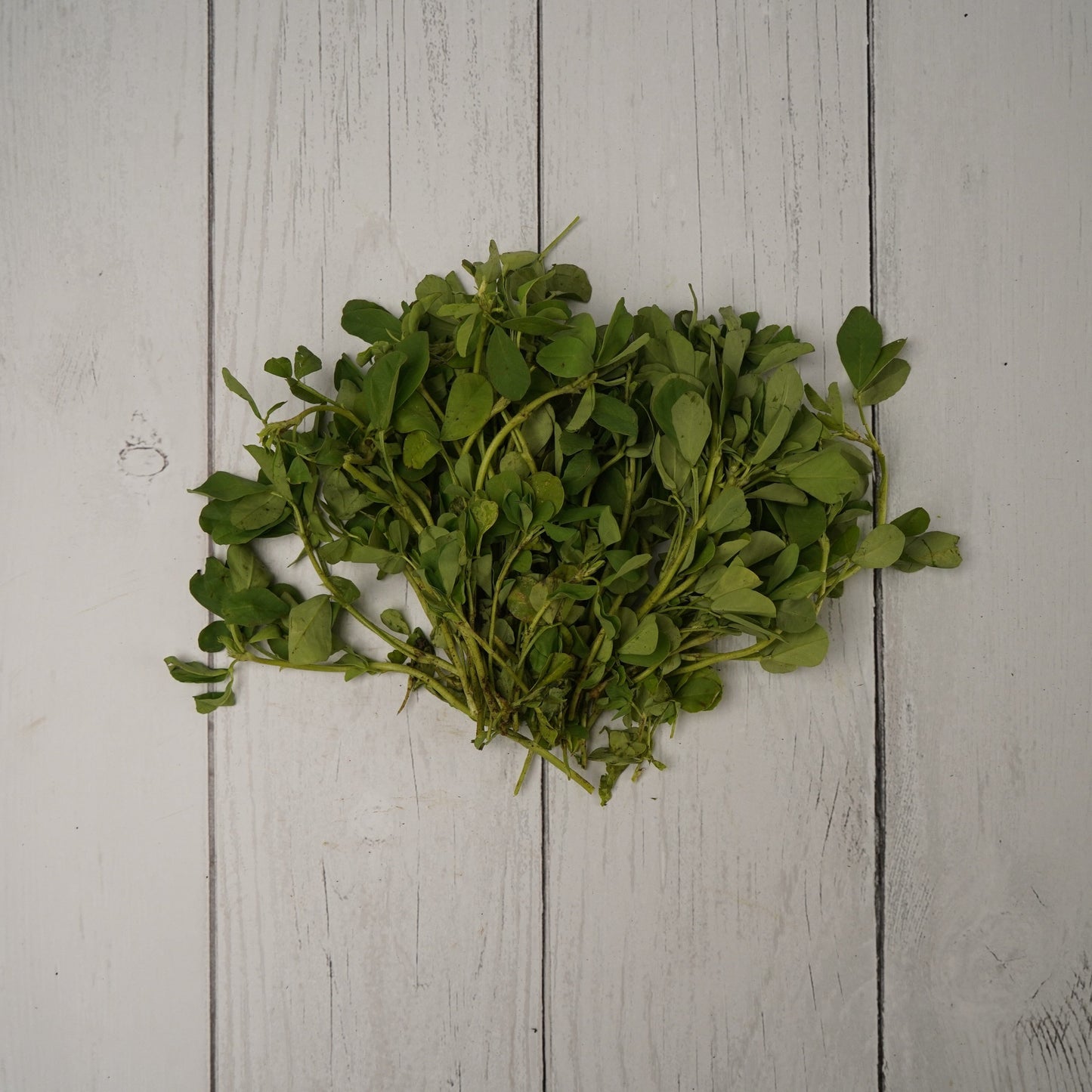 Fenugreek Leaves / Methi Patta - 1- 100 % Natural & Farm Fresh Leafy Vegetables