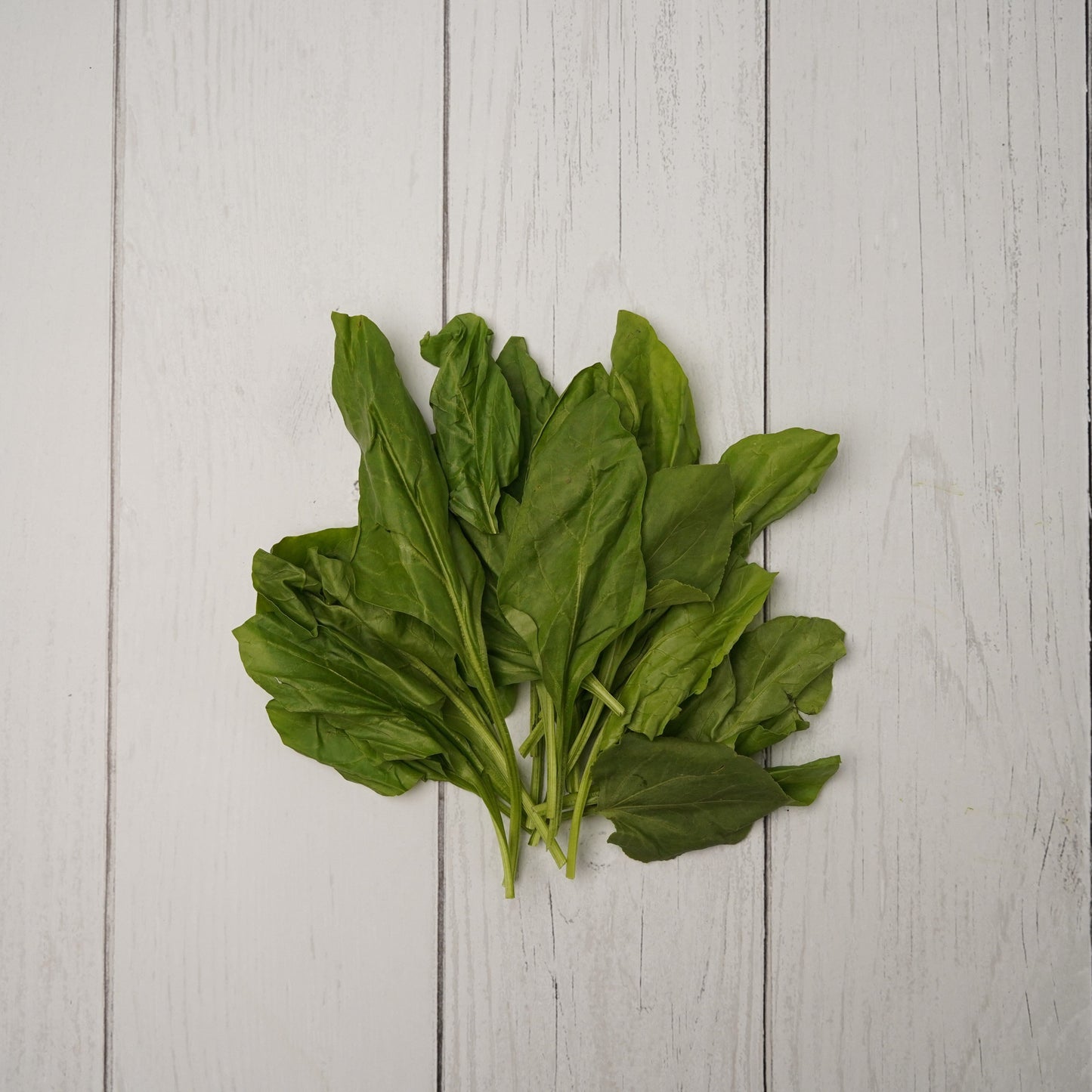 Spinach / Palak - 1- 100 % Natural & Farm Fresh Leafy Vegetables