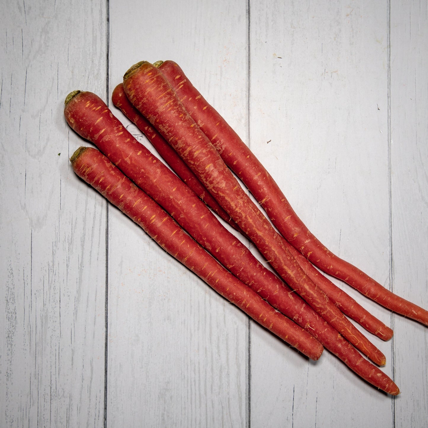 Carrot Red / Desi Gajar - 100 % Natural & Farm Fresh Farm Fresh Vegetables
