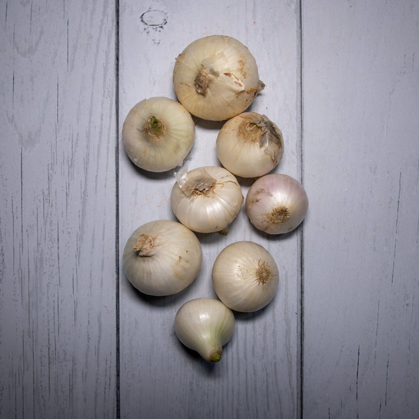 Onion White / Safed Pyaaz - 100 % Natural & Farm Fresh Farm Fresh Vegetables