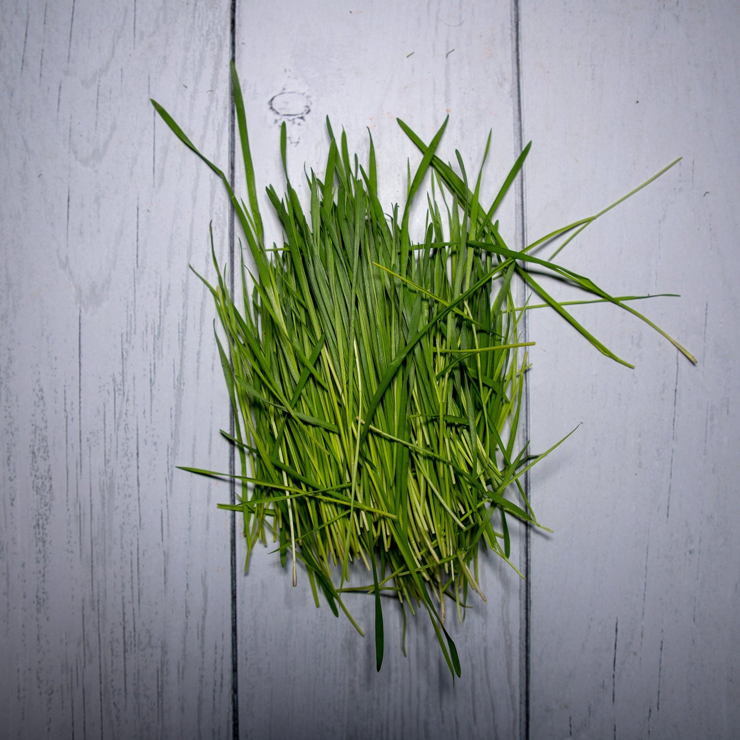 Wheatgrass Leaves / Gehu Ke Jaware - Herbs
