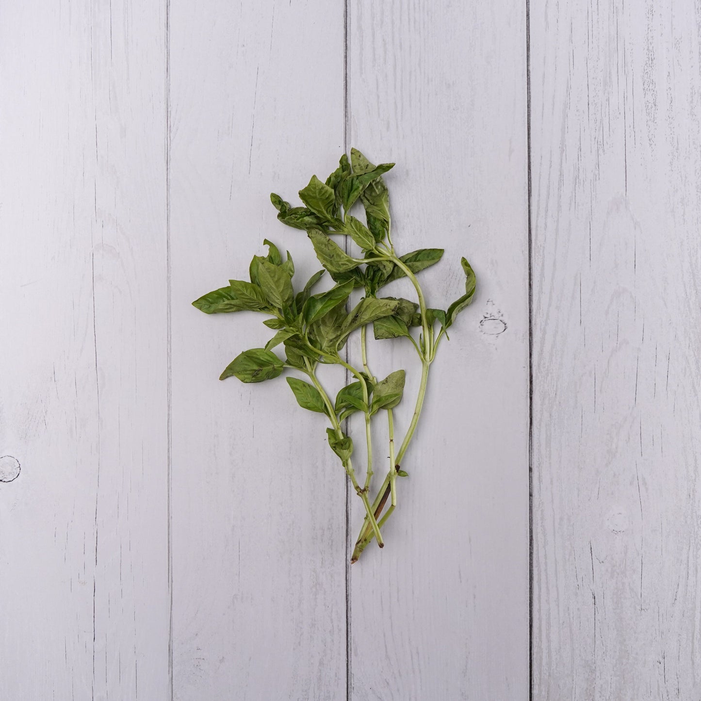 Basil - 100 % Natural & Farm Fresh Fruits & Vegetables