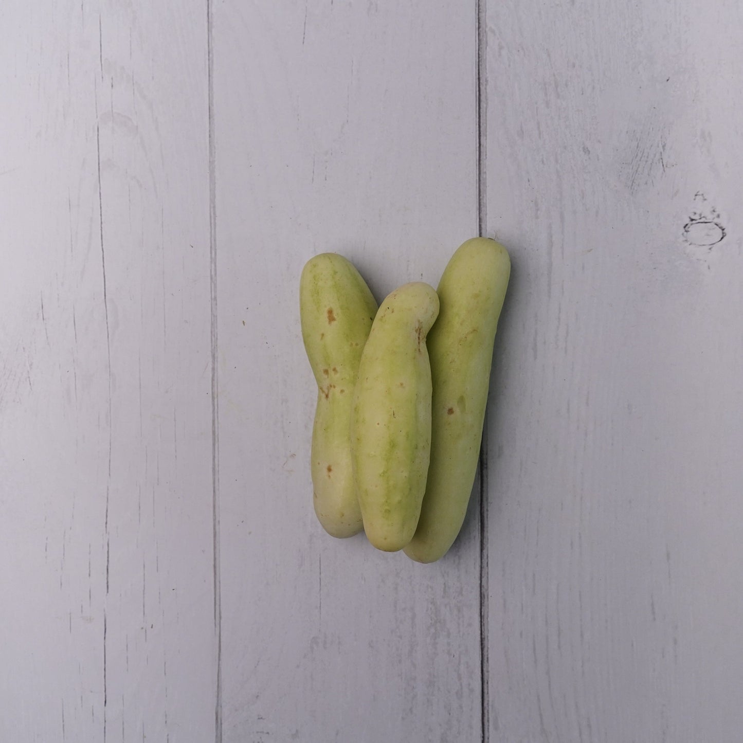 Cucumber White / Kakdi Safed - 100 % Natural & Farm Fresh Farm Fresh Vegetables