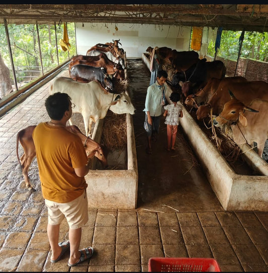 "Roots and Resilience: Why Family Farmers are the Backbone of Our Food System"