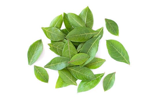 Heena Leaves / Mehndi Patta -  100 % Natural & Farm Fresh  Herbs  