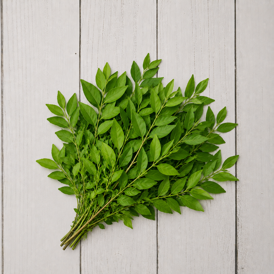 A bunch of fresh green leafy stems arranged in a fan shape on a light gray wooden plank background.