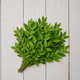 A bunch of fresh green leafy stems arranged in a fan shape on a light gray wooden plank background.