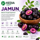 Jamun Kedia
