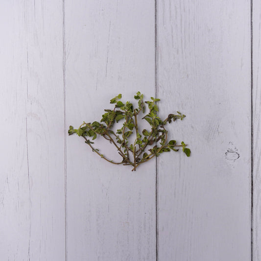 Oregano Leaves -  100 % Natural & Farm Fresh Exotic Vegetables  
