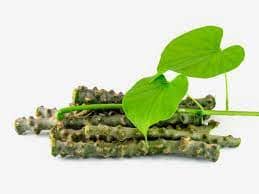 Giloy Stems- 1- 100 % Natural & Farm Fresh Herbs  