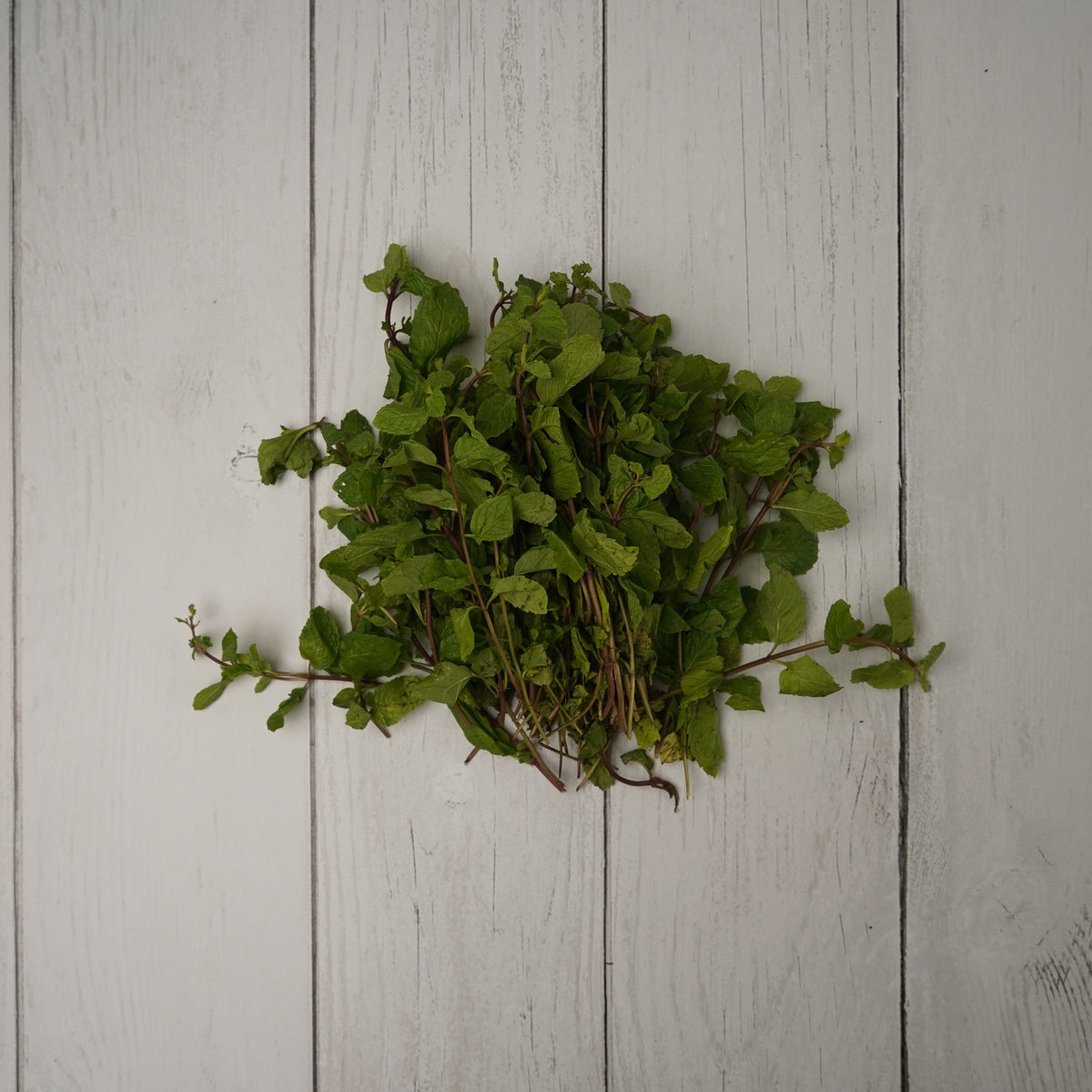 Mint Leaves / Pudina Patta -- 100 % Natural & Farm Fresh  Leafy Vegetables  