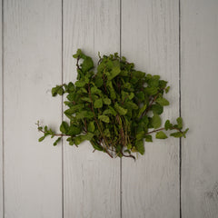 Mint Leaves / Pudina Patta -- 100 % Natural & Farm Fresh  Leafy Vegetables  