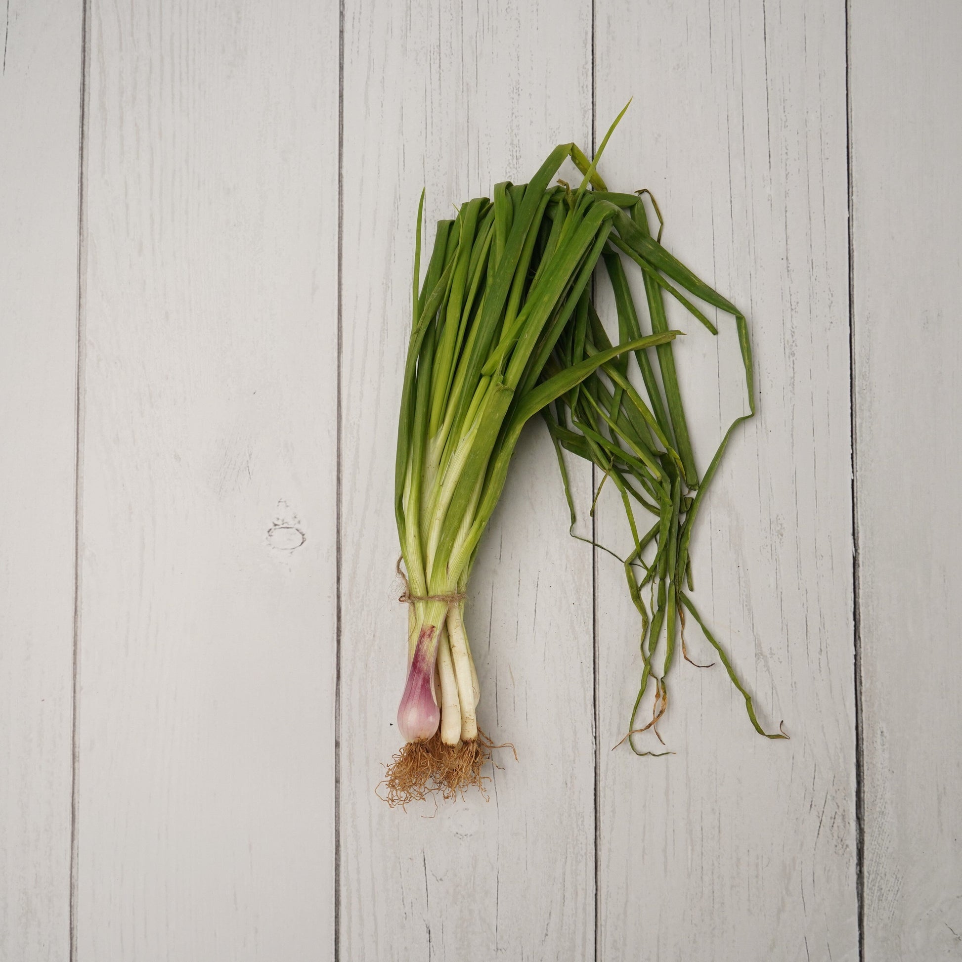 Spring Onion / Hara Pyaaz - 1- 100 % Natural & Farm Fresh Leafy Vegetables  