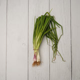 Organic Spring Onion / Hara Pyaaz - 150 Gms - Kedia Organic Agro Farms