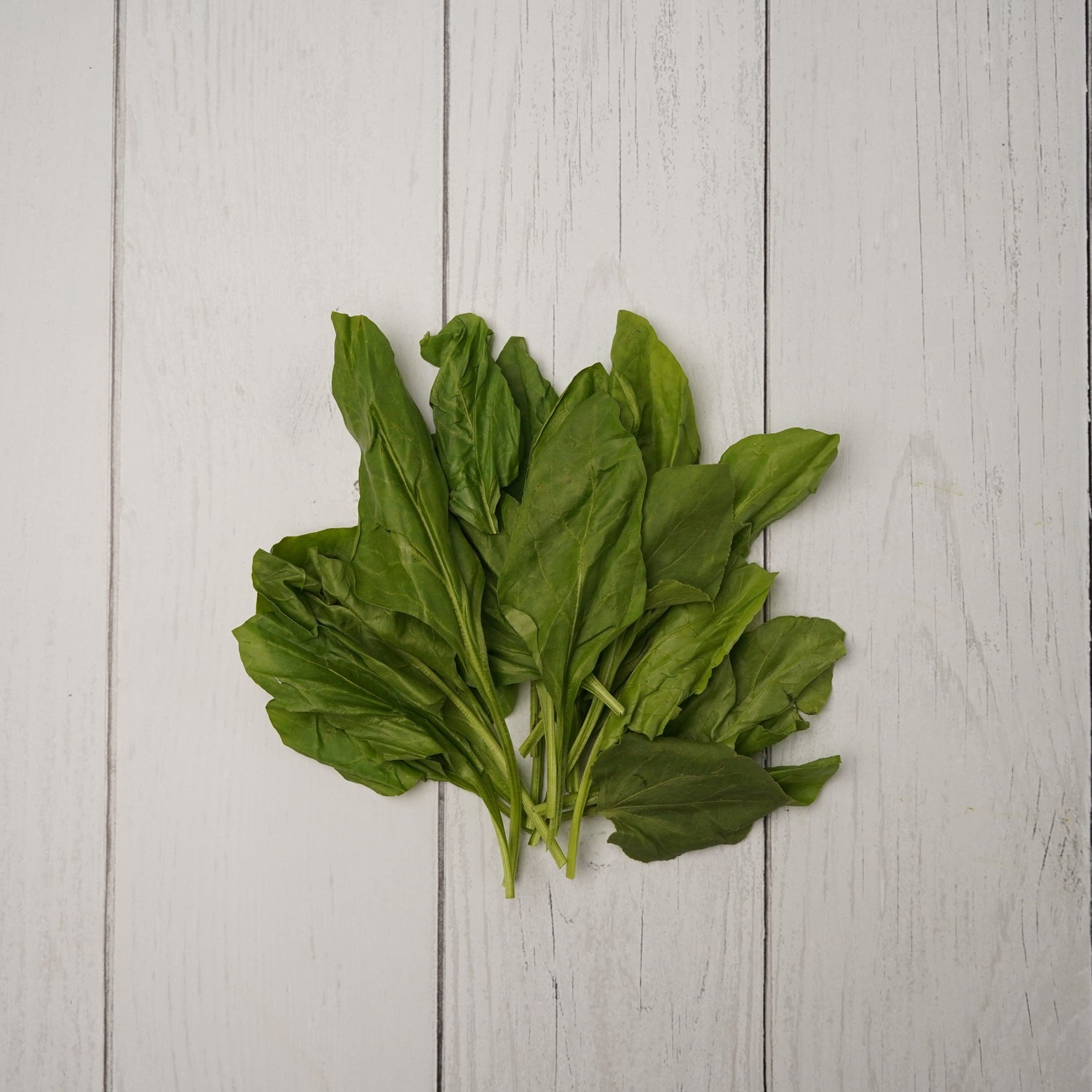 Spinach / Palak - 1- 100 % Natural & Farm Fresh Leafy Vegetables  