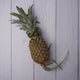 Pineapple Whole / Ananas -  100 % Natural & Farm Fresh  Farm Fresh Fruits  