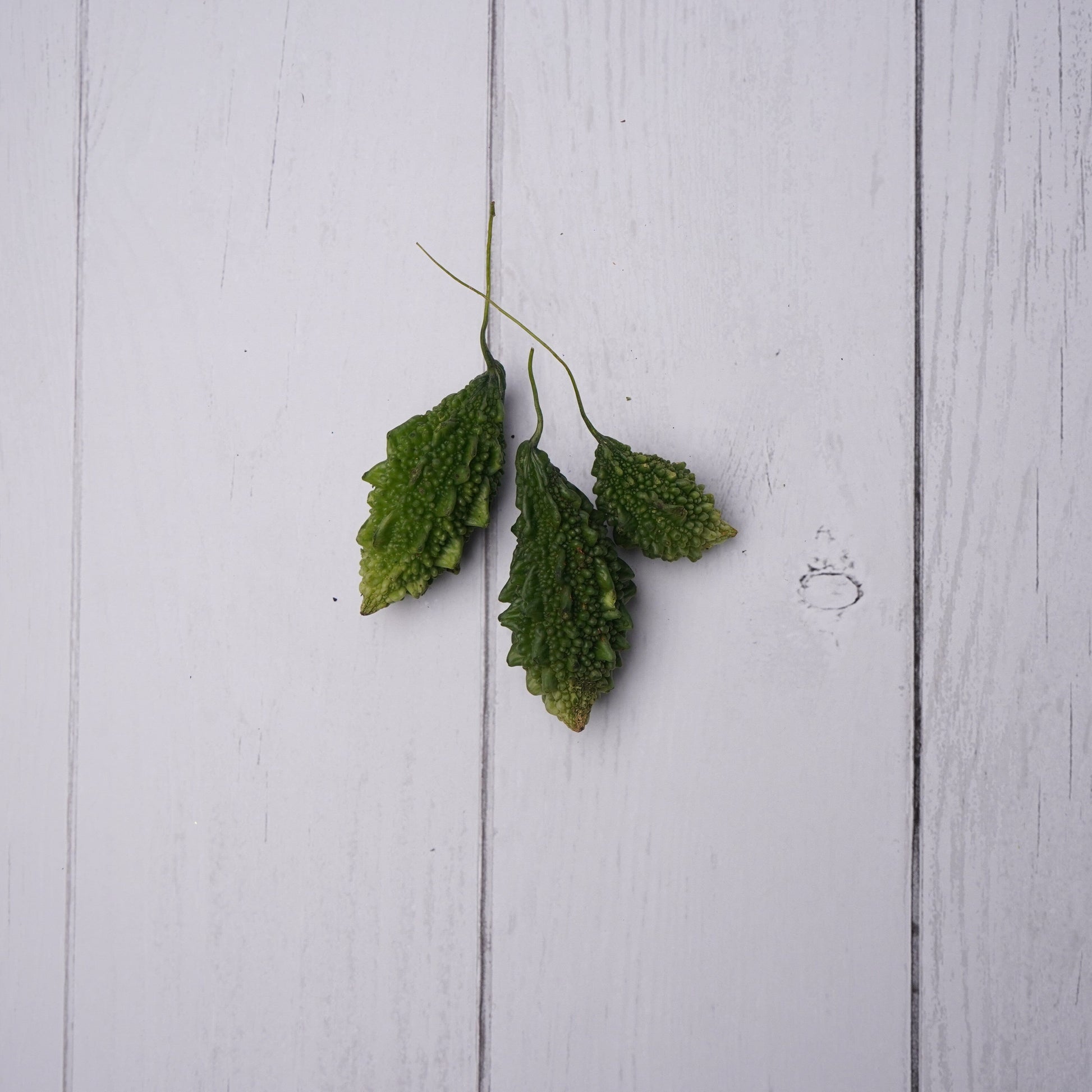 Bitter Gourd Mini / Chota Karela -  100 % Natural & Farm Fresh  Farm Fresh Vegetables  