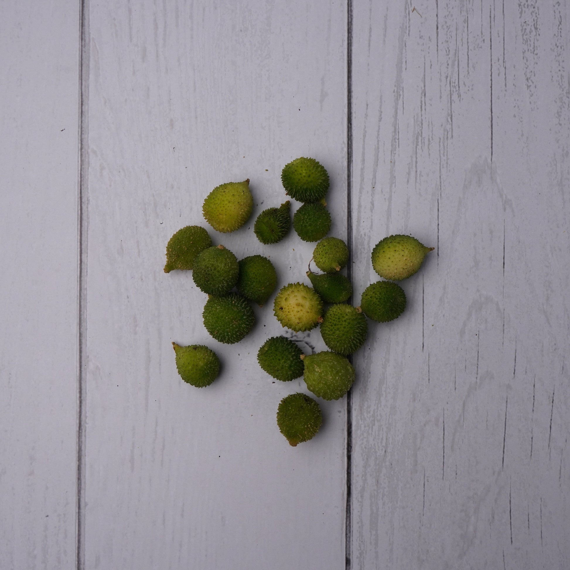 Spike Gourd / Kantola -  100 % Natural & Farm Fresh  Farm Fresh Vegetables  