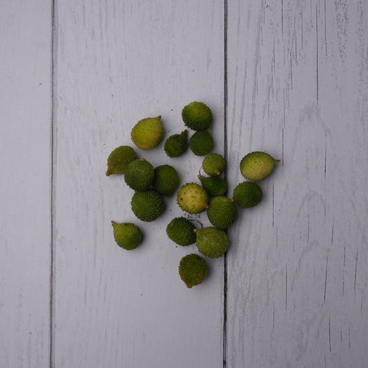 Spike Gourd / Kantola -  100 % Natural & Farm Fresh  Farm Fresh Vegetables  