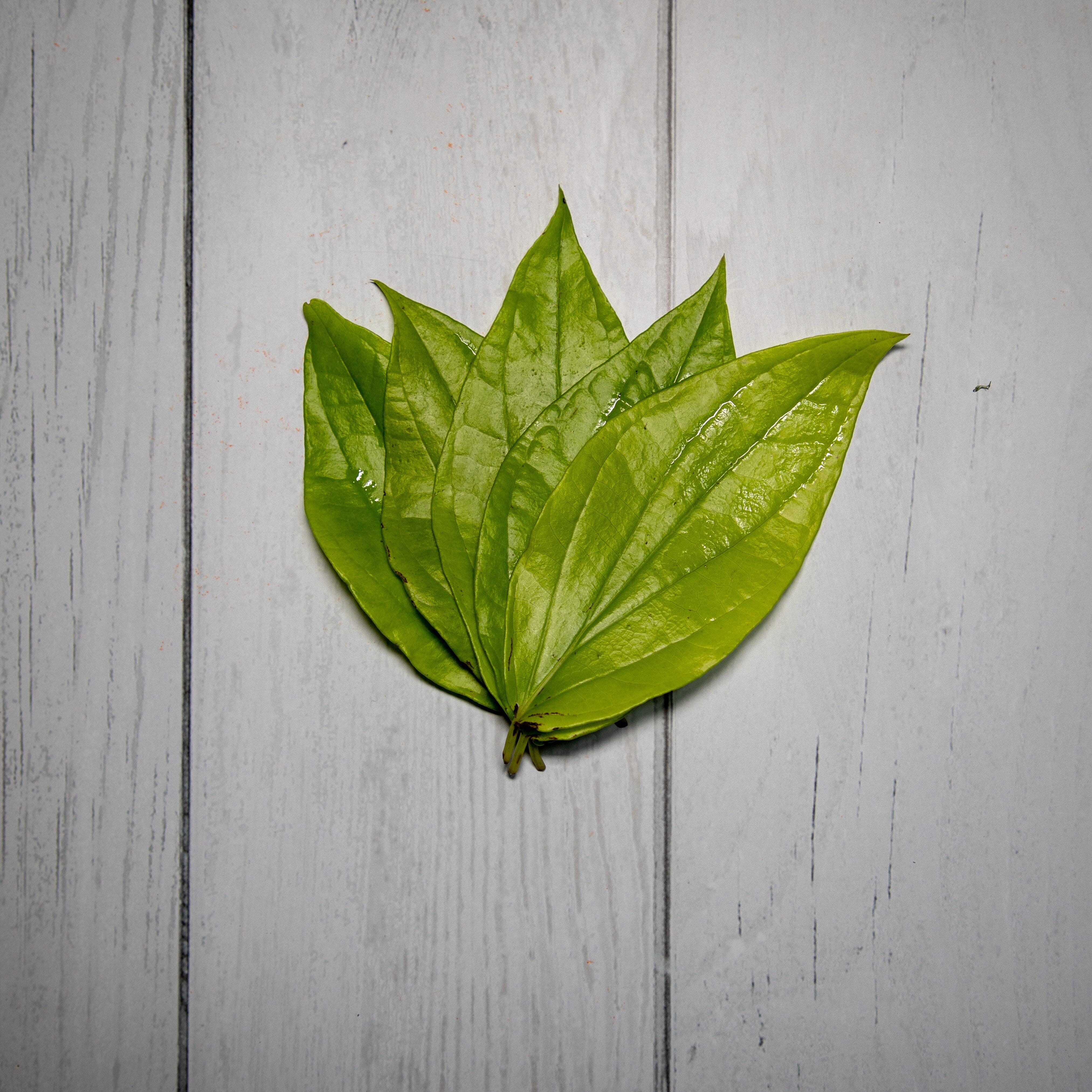 Organic Maghai Paan / Betel Leaves - 10 Pieces - Kedia Organic Agro Farms Herbs Kedia Organic Agro Farms 