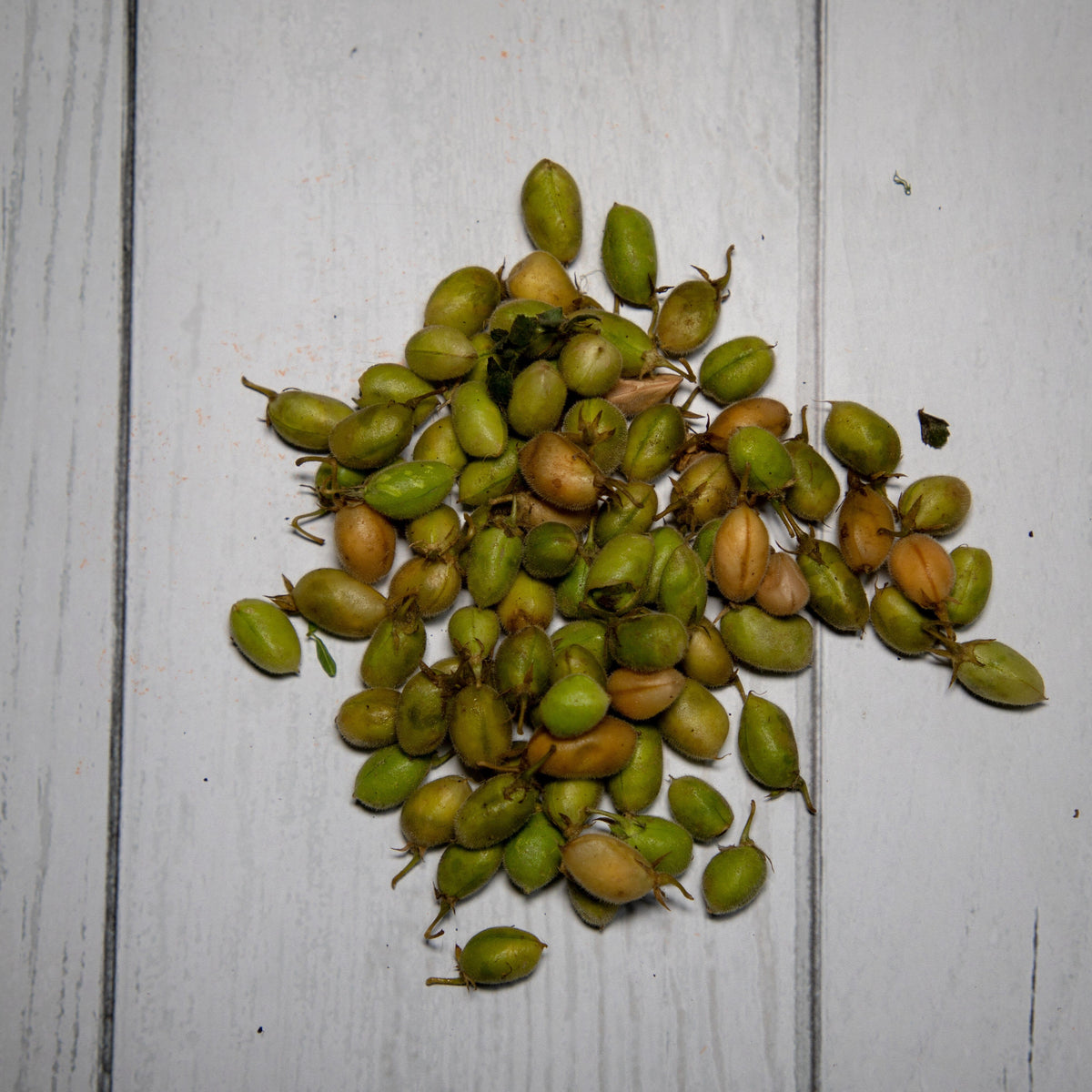 Green Chana / Harabara -- 100 % Natural & Farm Fresh  Farm Fresh Vegetables  