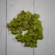 Angoor Hara / Green Grapes -  100 % Natural & Farm Fresh  Farm Fresh Fruits  
