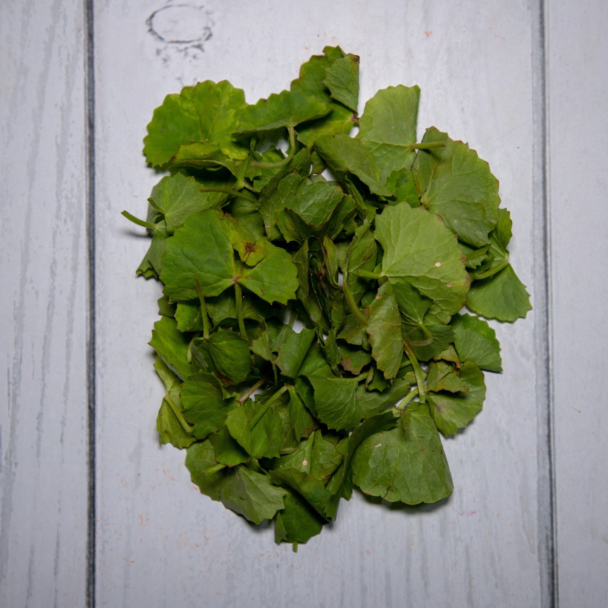 Brahmi Leaves -  100 % Natural & Farm Fresh  Herbs  