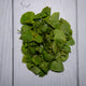 Brahmi Leaves -  100 % Natural & Farm Fresh  Herbs  