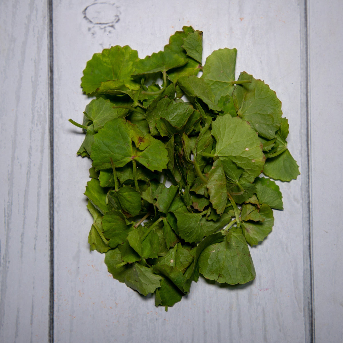 Brahmi Leaves -  100 % Natural & Farm Fresh  Herbs  