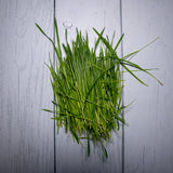 Organic Wheatgrass Leaves / Gehu Ke Jaware - Kedia Organic Agro Farms