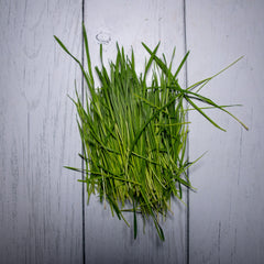 Organic Wheatgrass Leaves / Gehu Ke Jaware - Kedia Organic Agro Farms Herbs Kedia Organic Agro Farms 