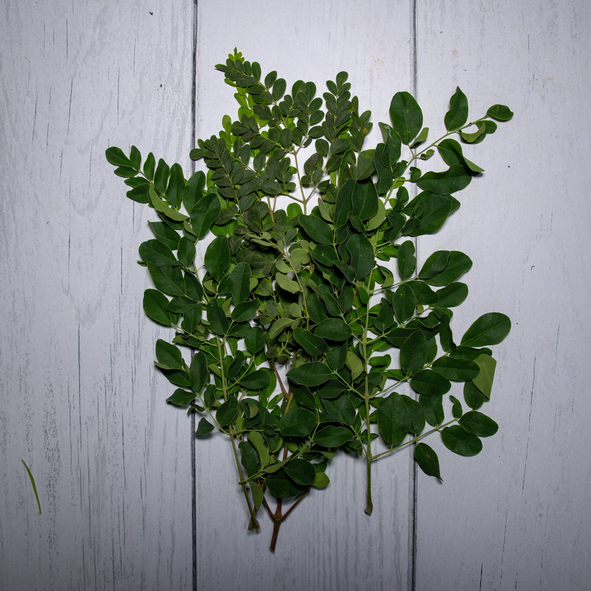 Organic Moringa Leaves - 150 Gms - Kedia Organic Agro Farms