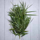 Organic Bamboo Leaves - 250 Gms - Kedia Organic Agro Farms