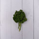 Parsley -  100 % Natural & Farm Fresh  Exotic Vegetables  