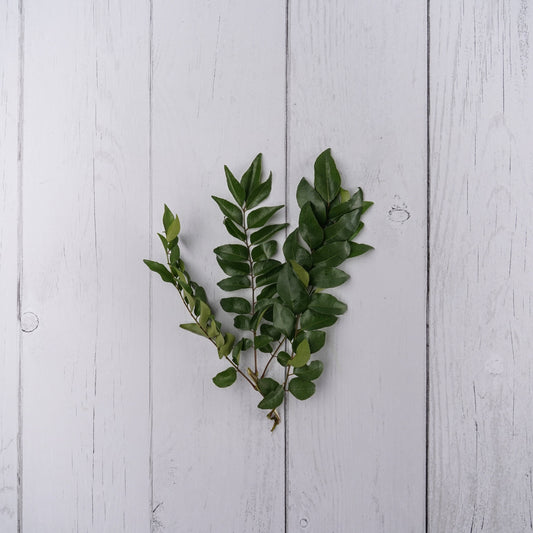 Curry Leaves / Kadi Patta -  100 % Natural & Farm Fresh  Leafy Vegetables  