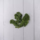 Kales -  100 % Natural & Farm Fresh  Exotic Vegetables  