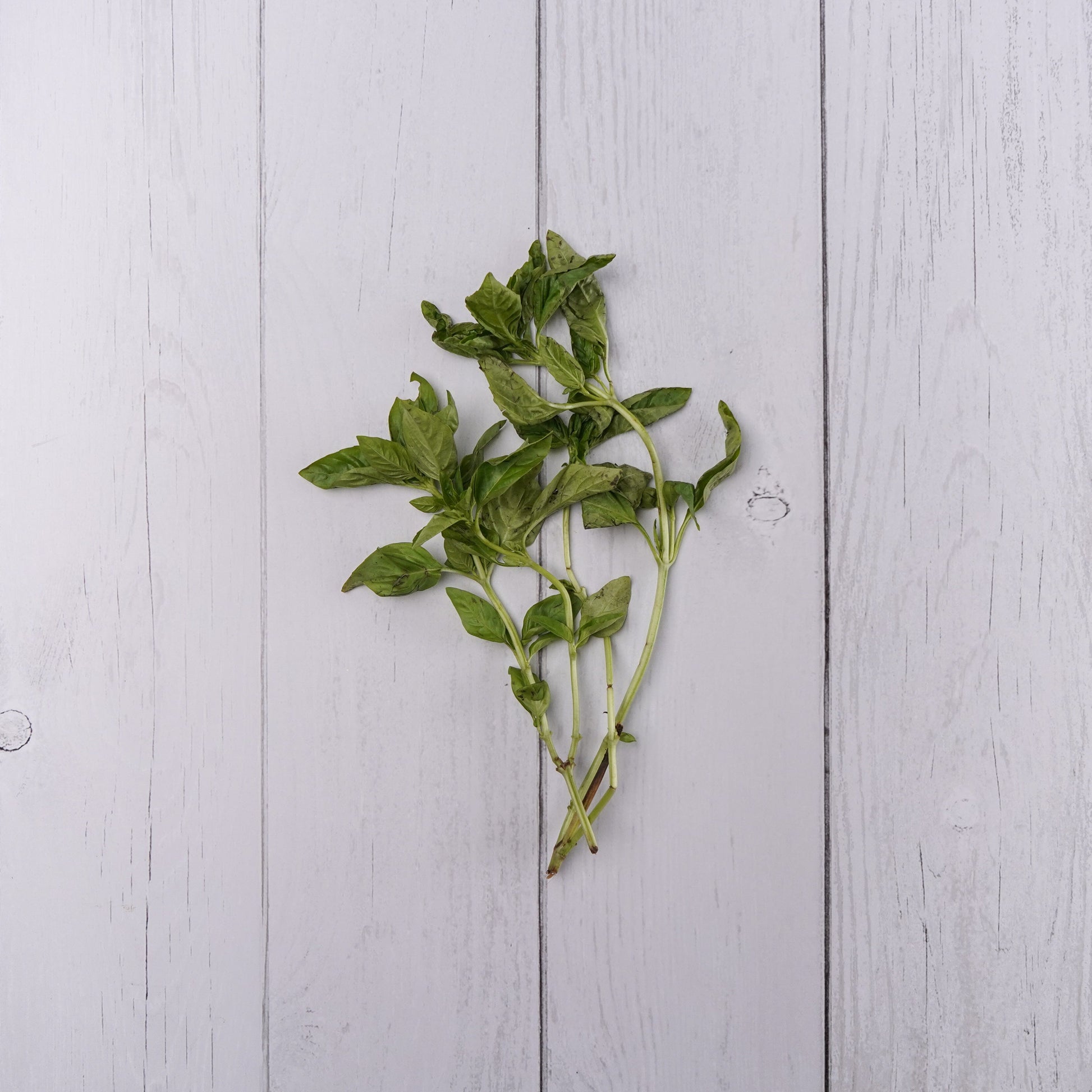 Basil -  100 % Natural & Farm Fresh  Fruits & Vegetables  