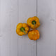 Capsicum Yellow / Peli Shimla Mirch -  100 % Natural & Farm Fresh  Exotic Vegetables  