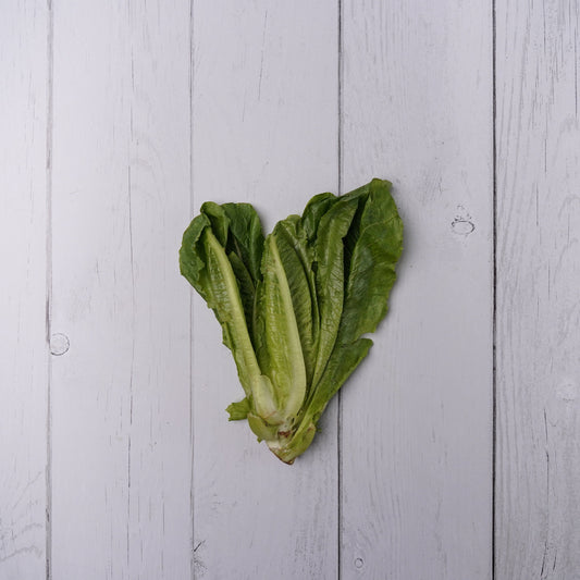Romaine Lettuce -  100 % Natural & Farm Fresh  Exotic Vegetables  