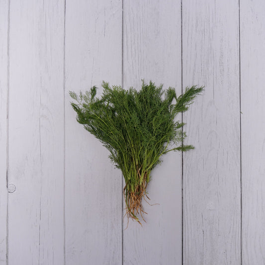 Dil Leaves / Shepu - 1- 100 % Natural & Farm Fresh Leafy Vegetables  