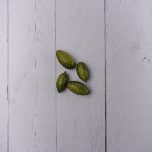 Pointed Gourd / Parwal -  100 % Natural & Farm Fresh  Farm Fresh Vegetables  