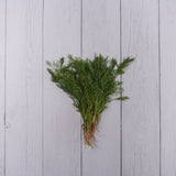 Organic Dil Leaves / Shepu -  150 Gms - Kedia Organic Agro Farms