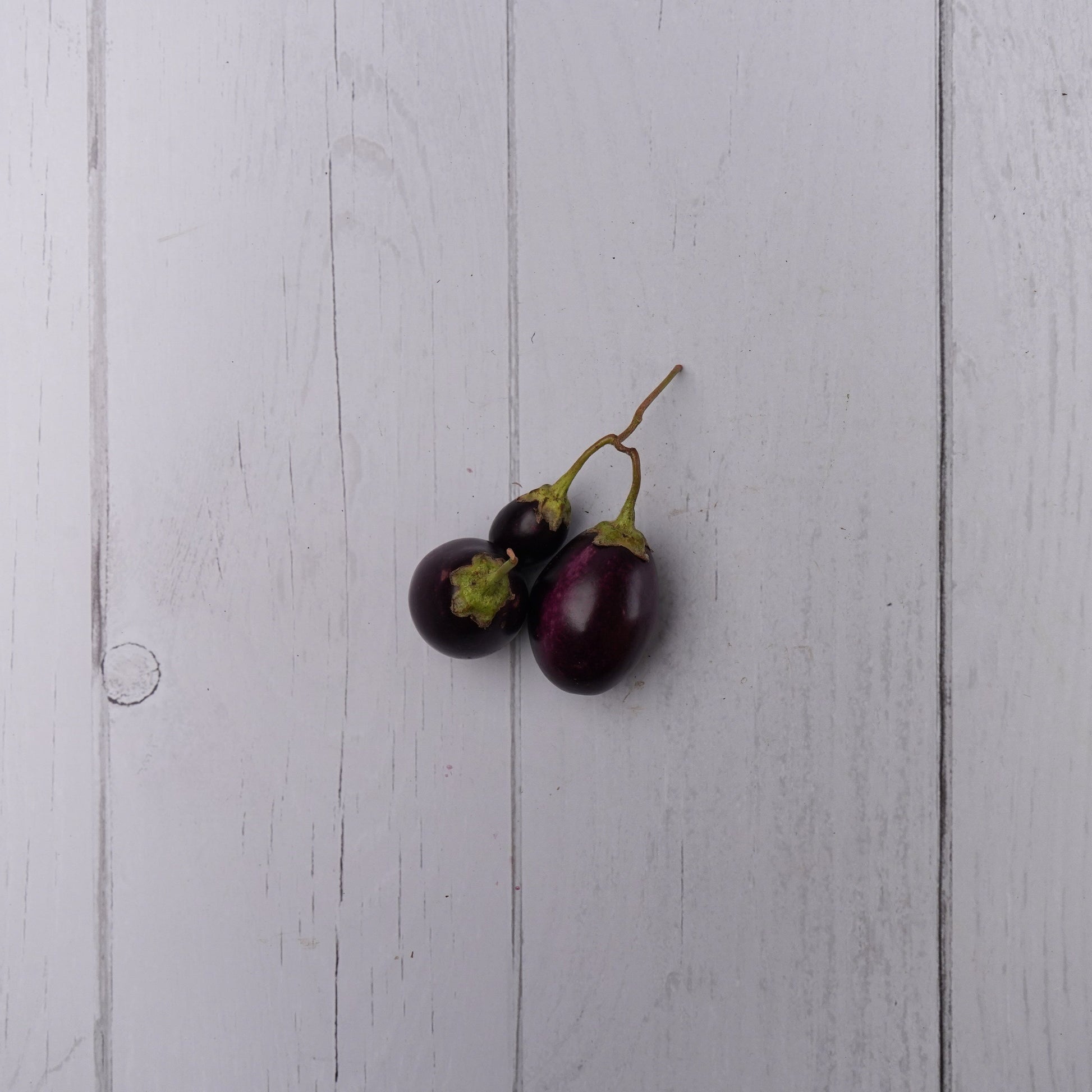 Brinjal Mini / Baigan Chota -  100 % Natural & Farm Fresh  Fruits & Vegetables  