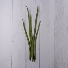 Organic Drumstick / Singafali - 250 Gms - Kedia Organic Agro Farms