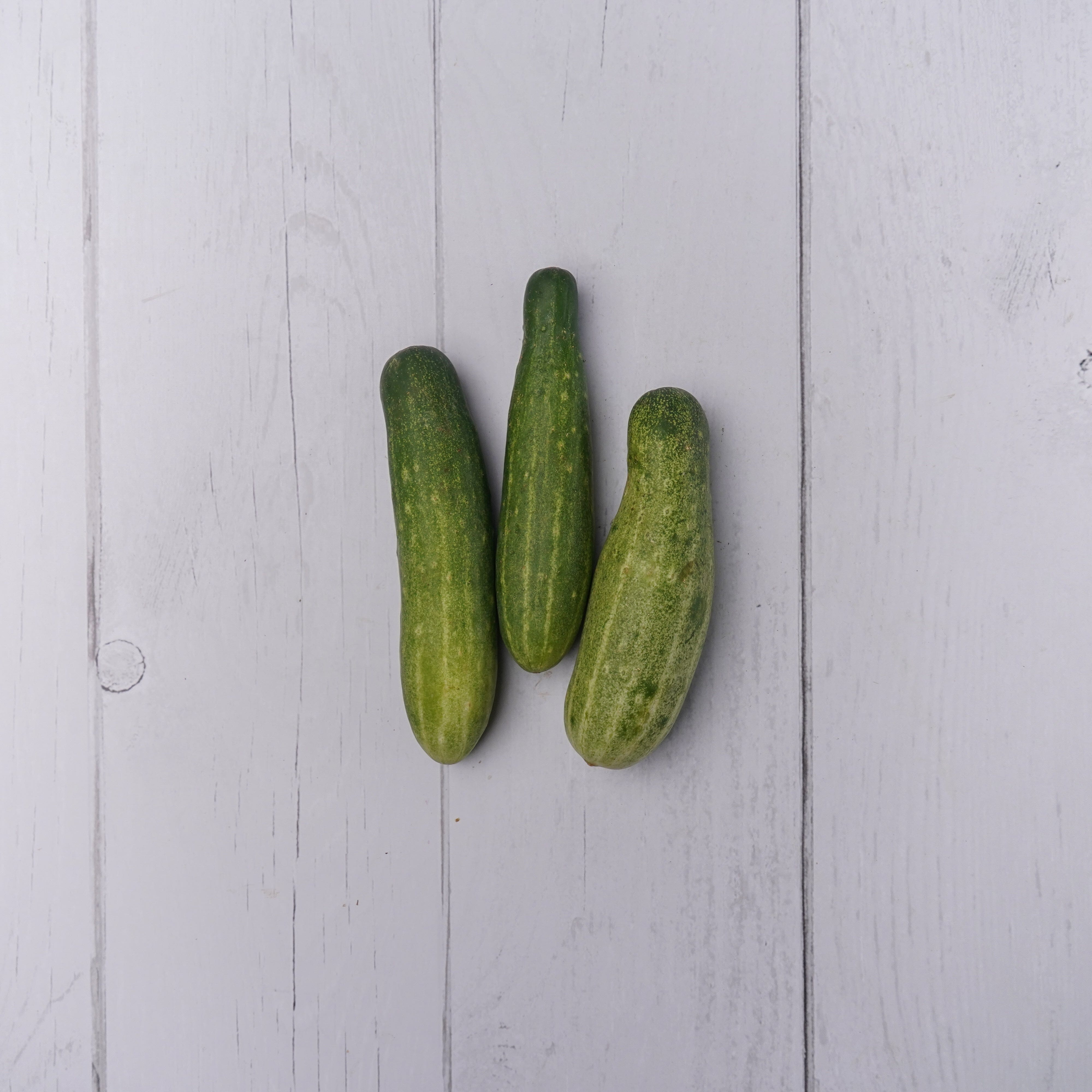 Cucumber Green / Kakdi Hari -  100 % Natural & Farm Fresh  Farm Fresh Vegetables  